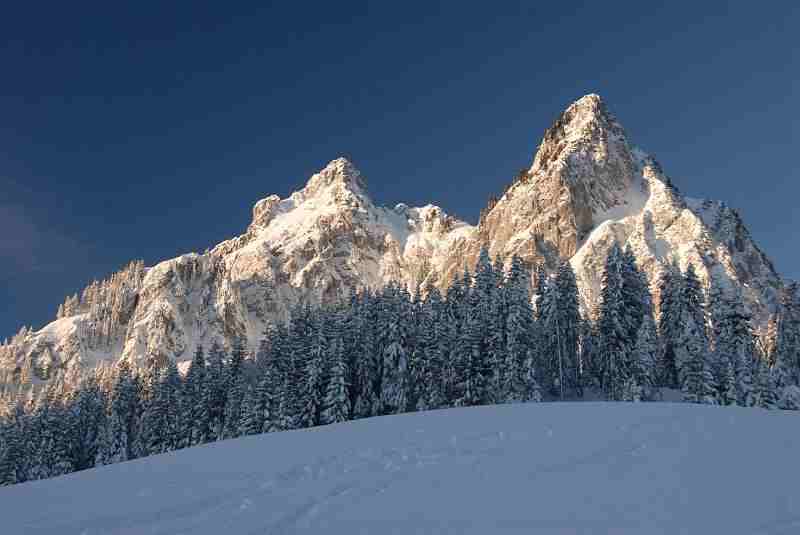Bild1