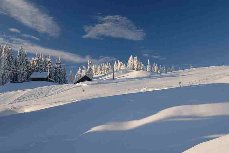 Bild2
