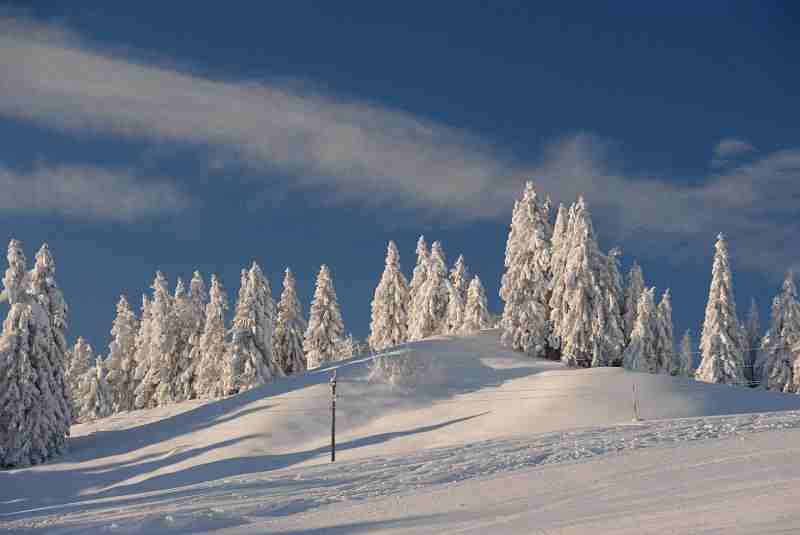 Bild1