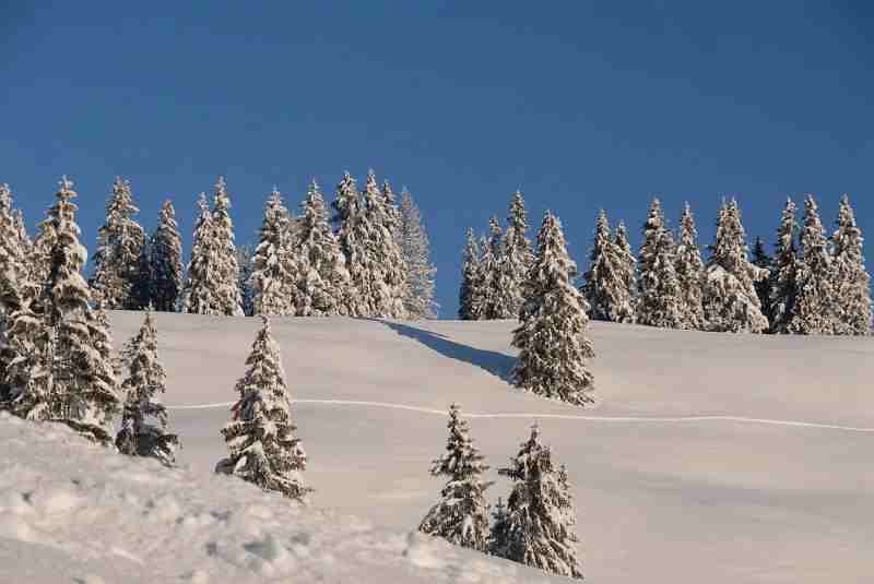 Bild1