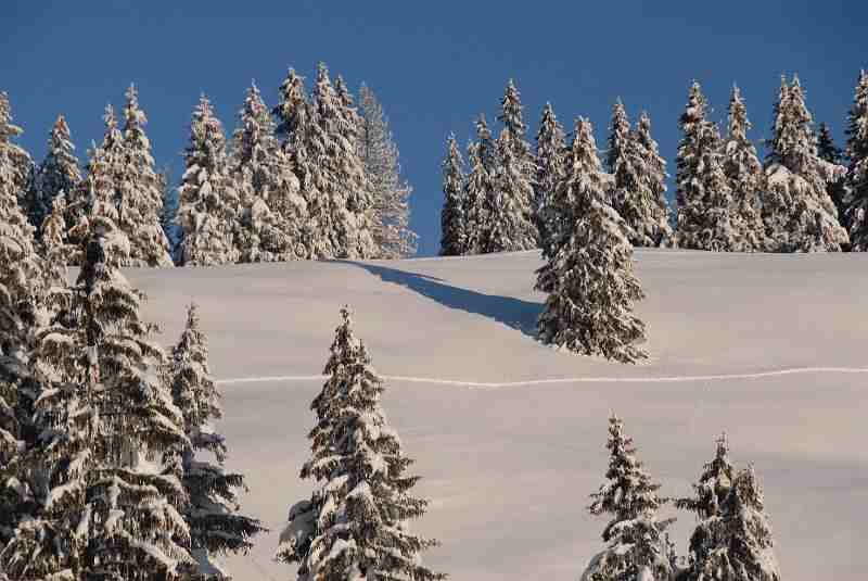 Bild1