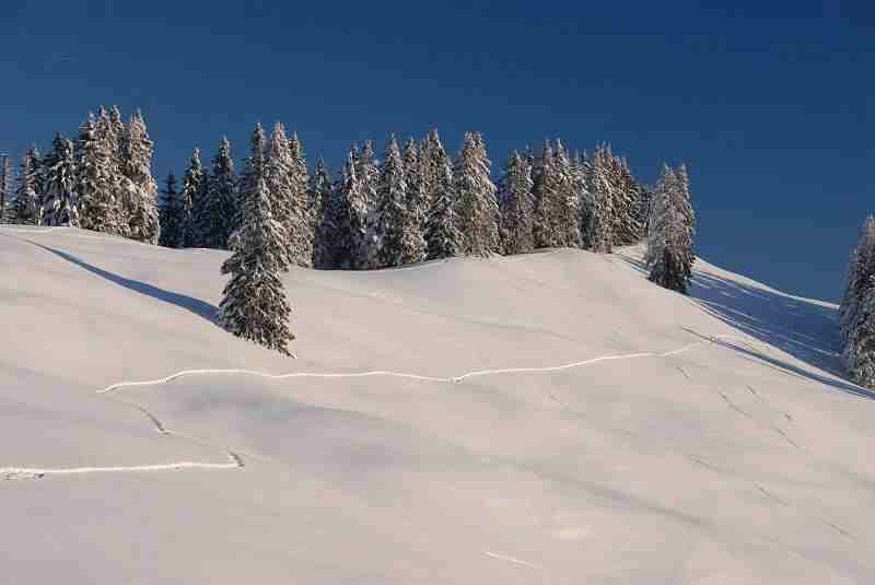Bild1