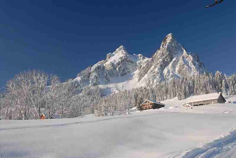 Bild1