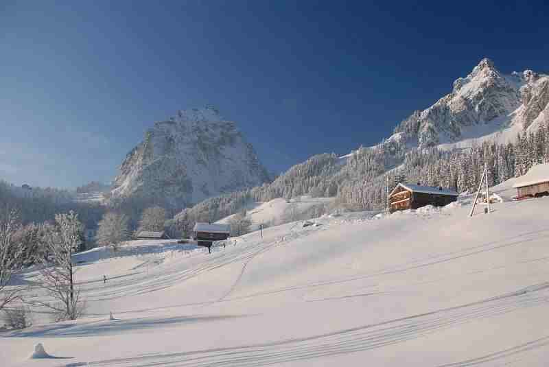 Bild1
