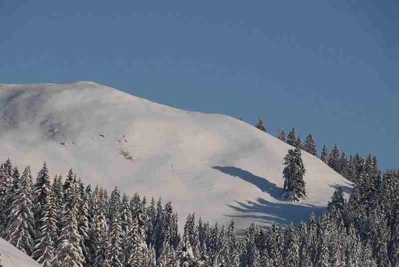 Bild1