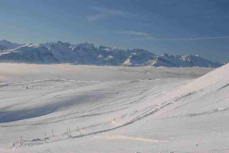Bild1