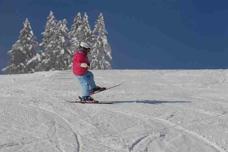 Bild2