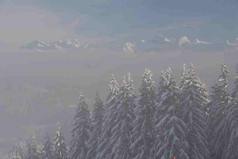 Bild2
