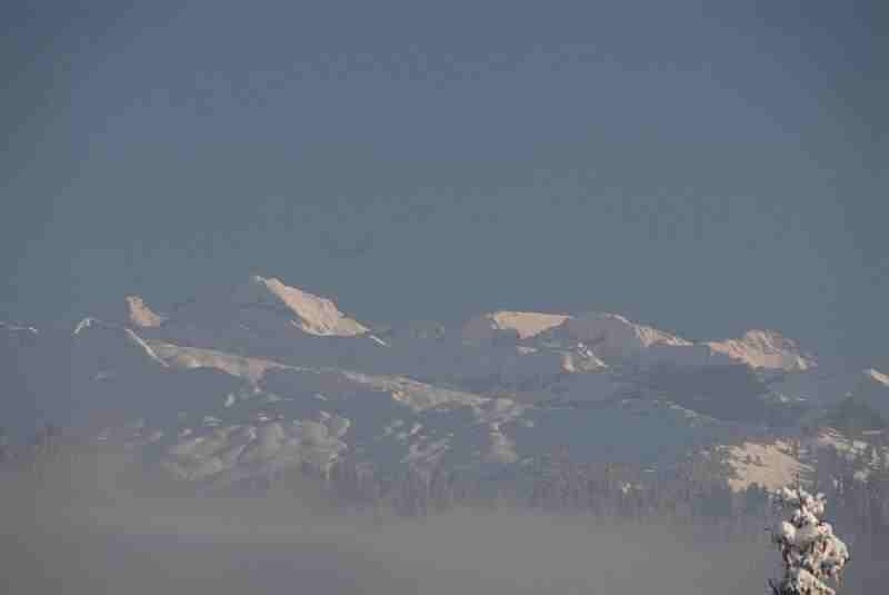 Bild2