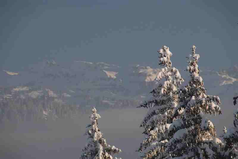 Bild2