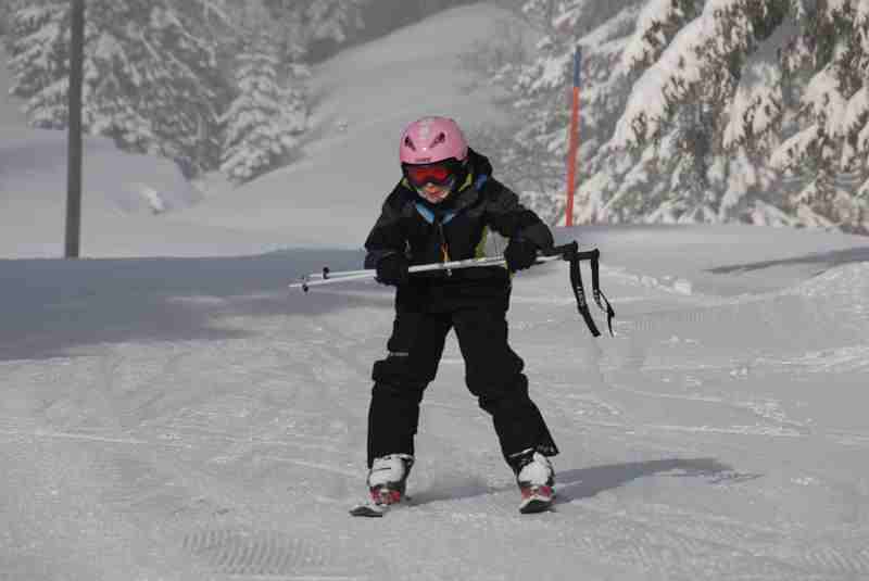 Bild2