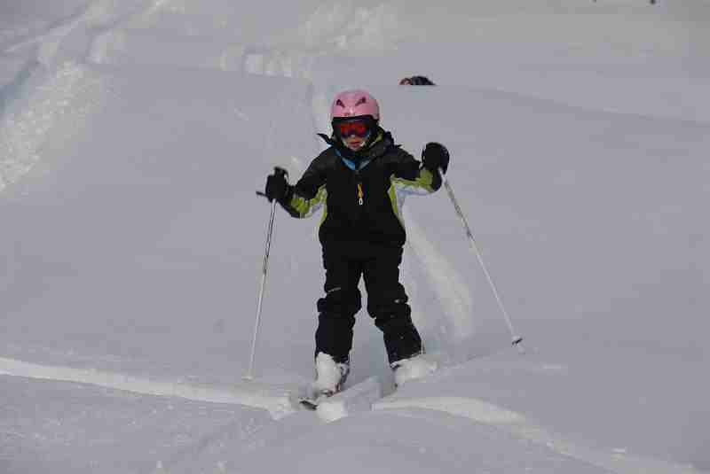 Bild2