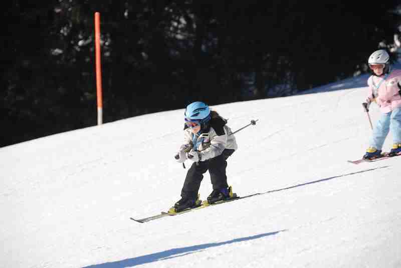 Bild2